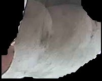 Crop
