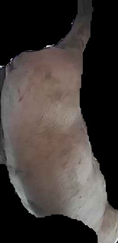 Crop