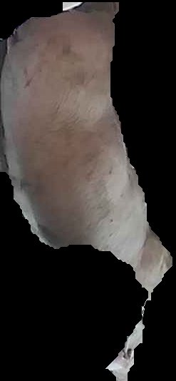 Crop