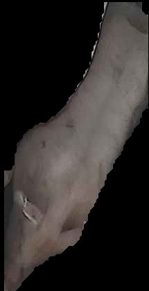Crop