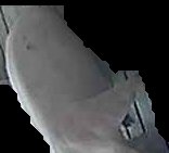 Crop