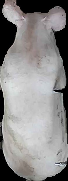 Crop