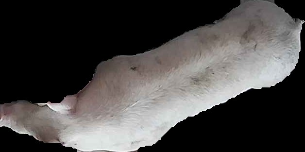 Crop