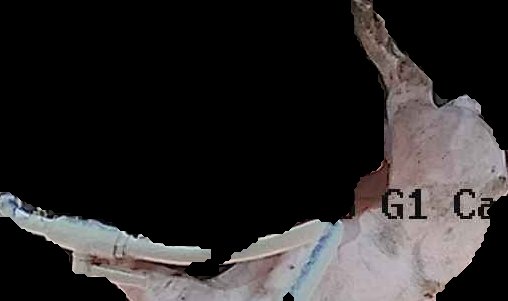 Crop