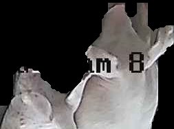 Crop