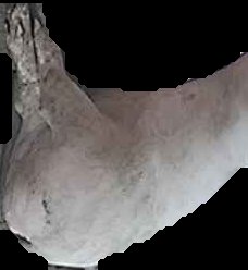 Crop