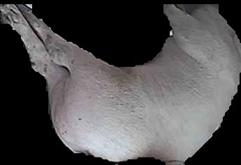 Crop