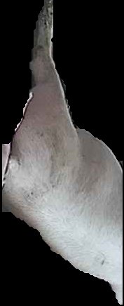 Crop