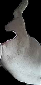 Crop