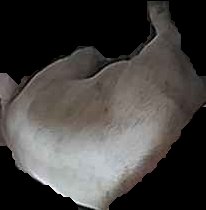 Crop