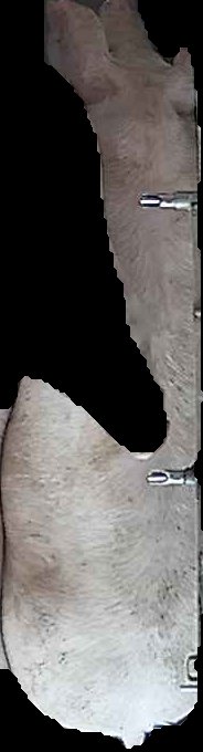 Crop