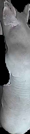 Crop