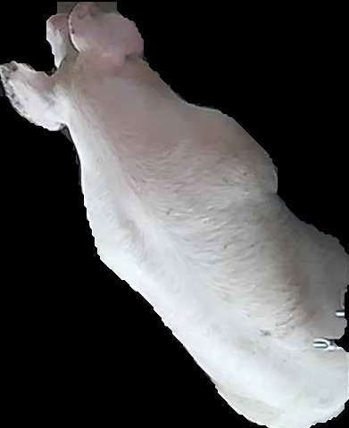 Crop