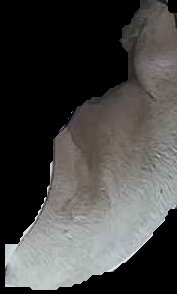 Crop