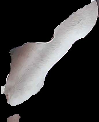 Crop