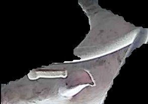 Crop