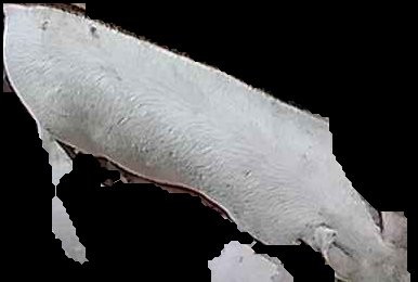 Crop