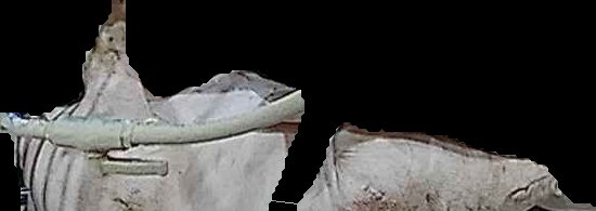 Crop