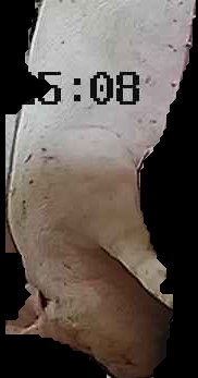 Crop