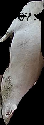 Crop