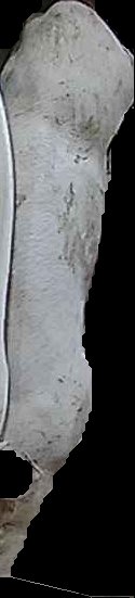 Crop