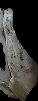 Crop