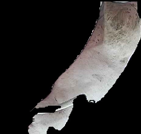 Crop