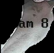 Crop