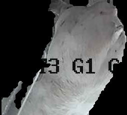 Crop