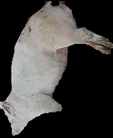 Crop