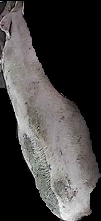 Crop