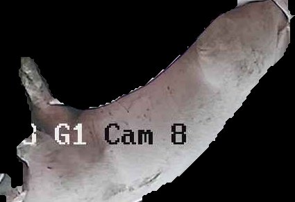 Crop