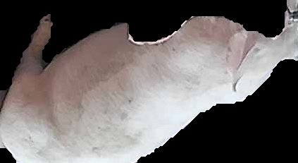 Crop