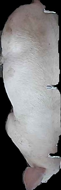 Crop