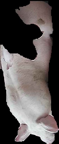 Crop
