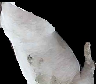 Crop