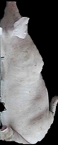 Crop