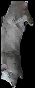 Crop