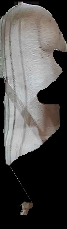 Crop