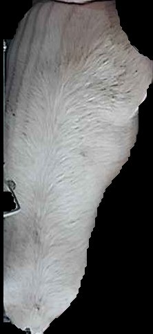 Crop