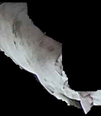 Crop