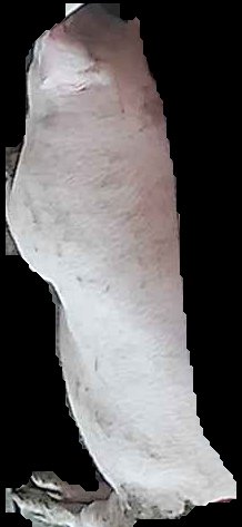 Crop
