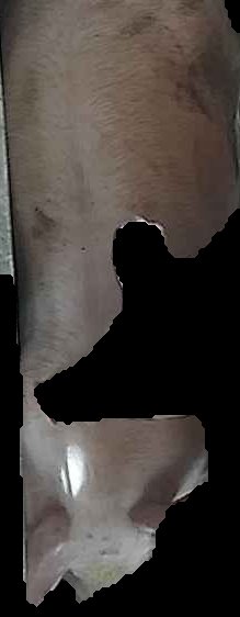 Crop