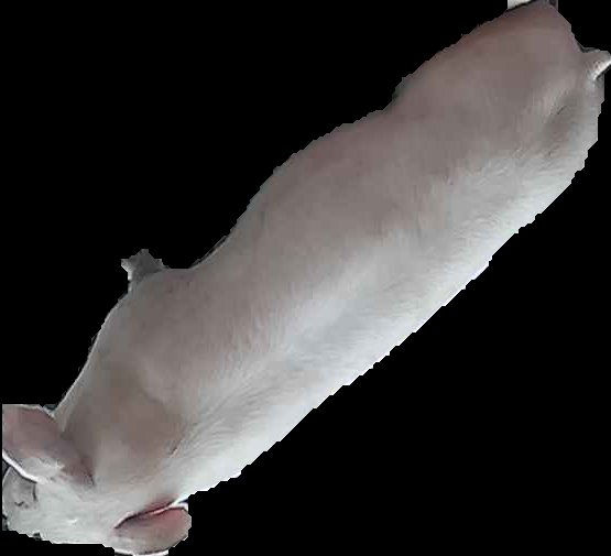 Crop