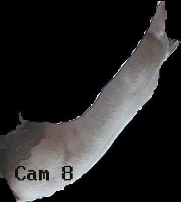 Crop