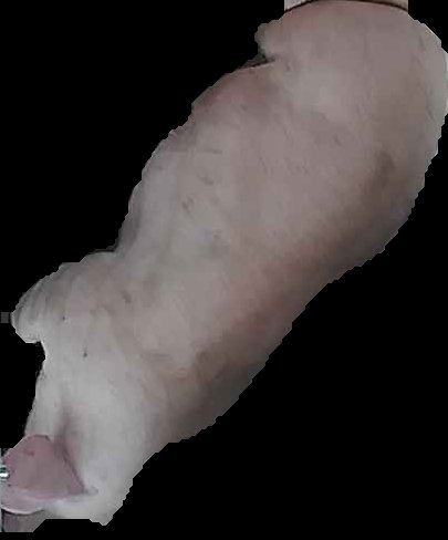 Crop