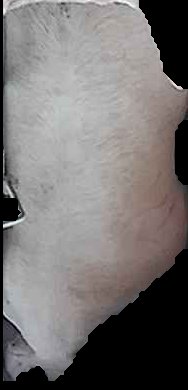 Crop
