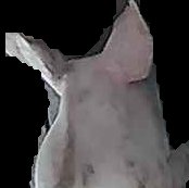 Crop