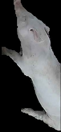 Crop