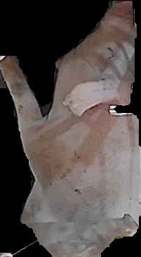 Crop